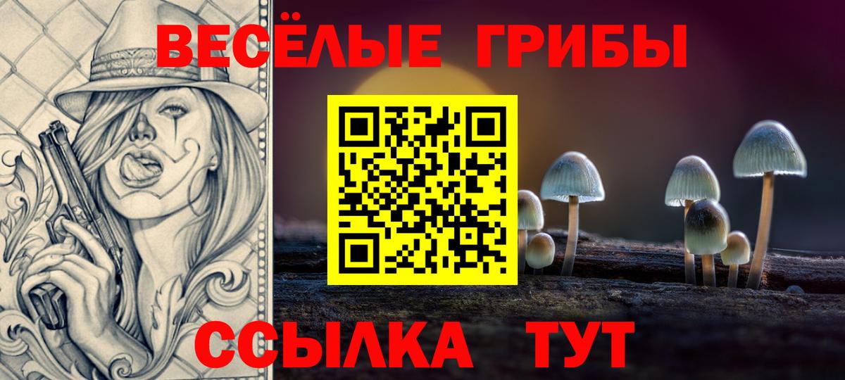 Галлюциногенные грибы Cubensis  цена   Сызрань  Вход с VPN 